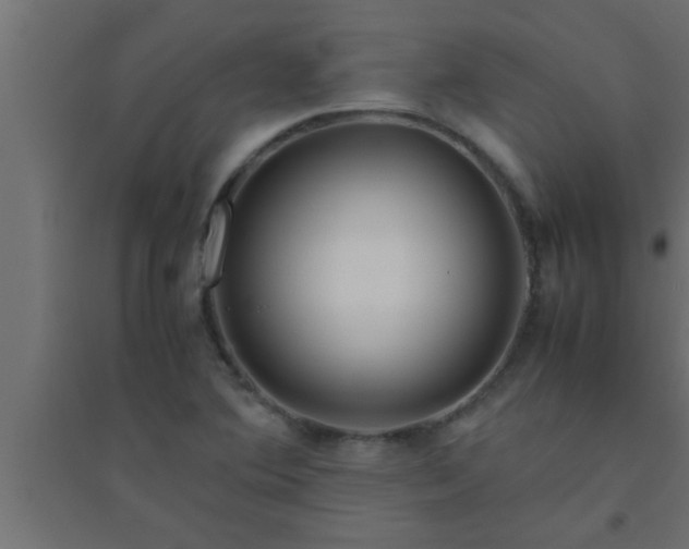 X0000094801364200711241415