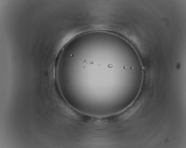 X0000094801365200711241415