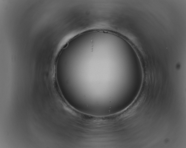 X0000094801366200711241415