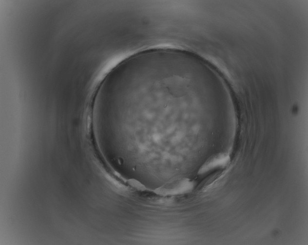 X0000094801367200711241415