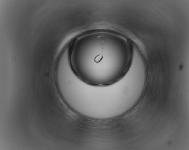X0000094801368200711241415