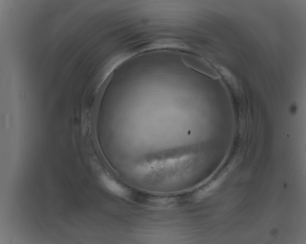 X0000094801369200711241415