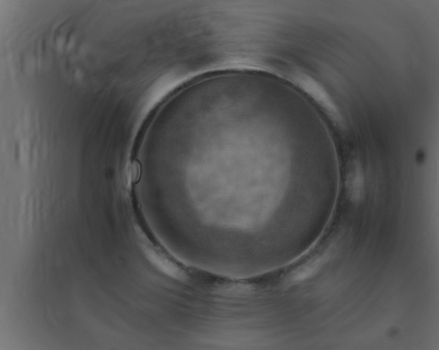 X0000094801372200711241415
