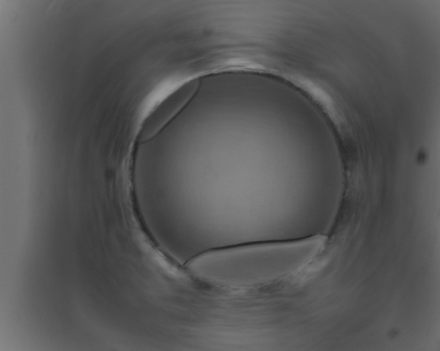 X0000094801373200711241415