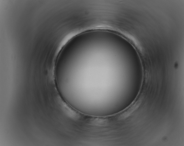 X0000094801374200711241415
