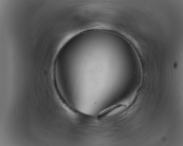 X0000094801375200711241415