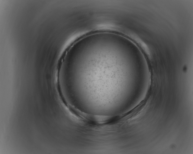X0000094801376200711241415