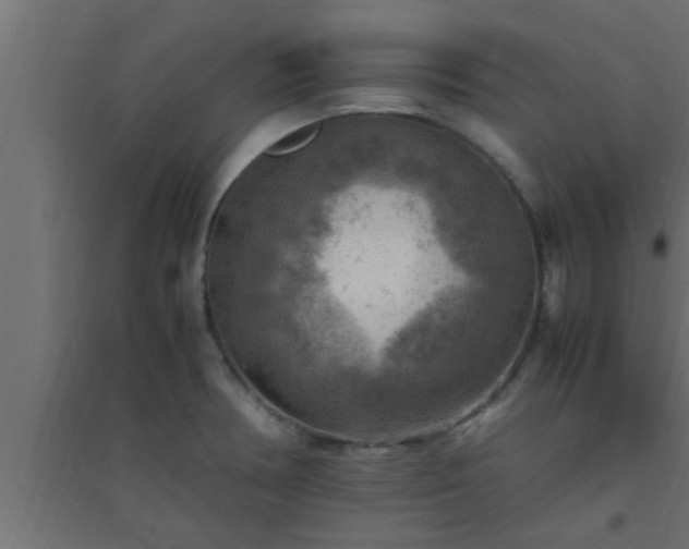 X0000094801378200711241414
