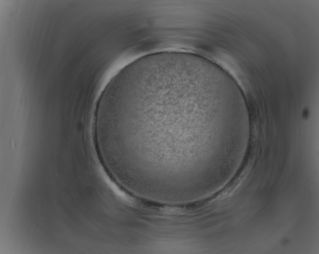 X0000094801379200711241414