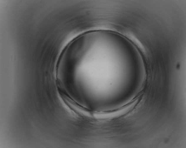X0000094801380200711241414