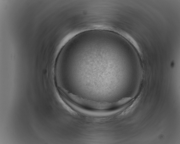 X0000094801381200711241414