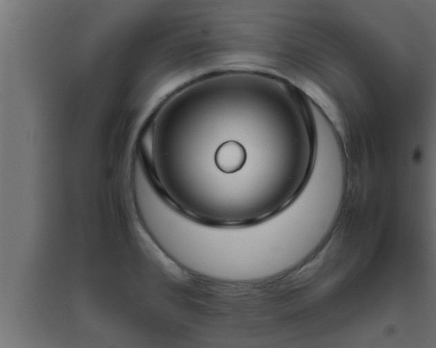 X0000094801384200711241414