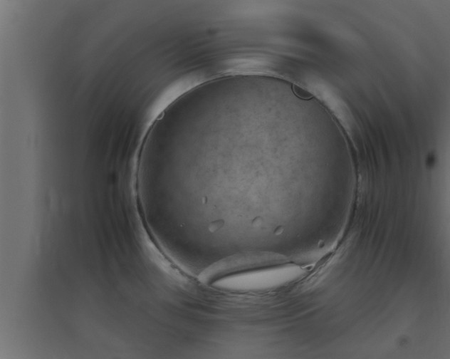 X0000094801386200711241414