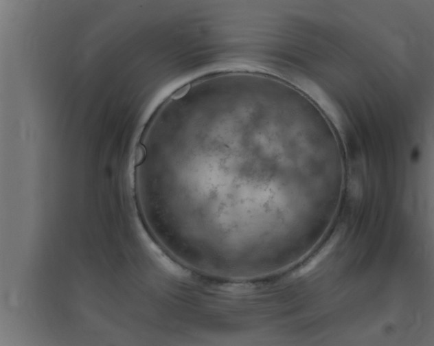 X0000094801388200711241414