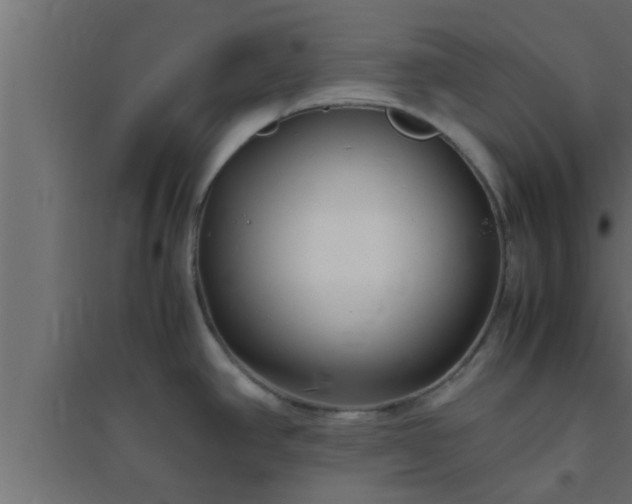 X0000094801390200711241414