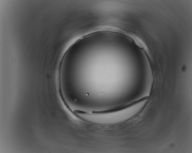 X0000094801391200711241414