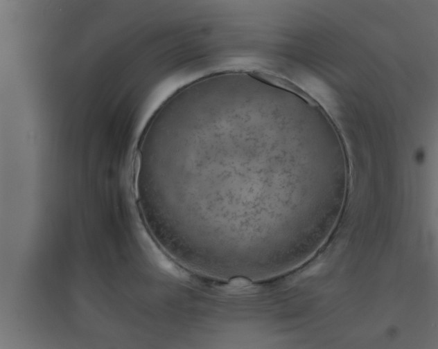 X0000094801392200711241414
