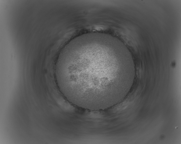 X0000094801393200711241414