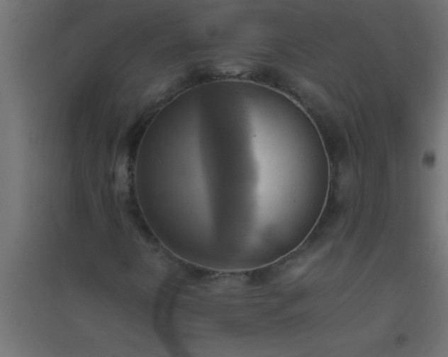 X0000094801394200711241414
