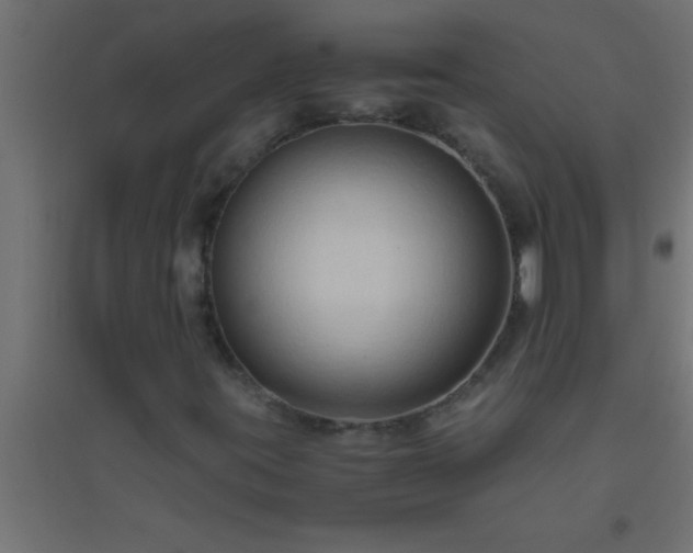 X0000094801395200711241414