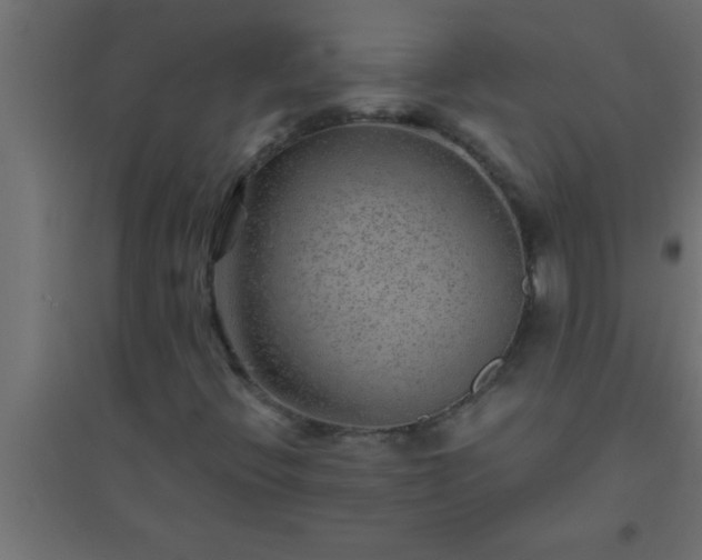X0000094801396200711241414