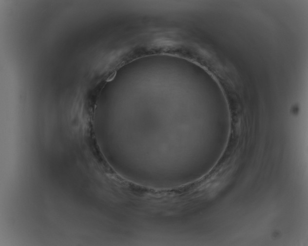 X0000094801397200711241414