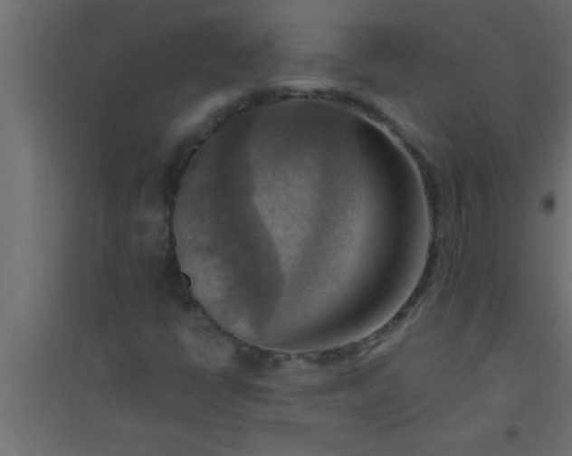 X0000094801398200711241414