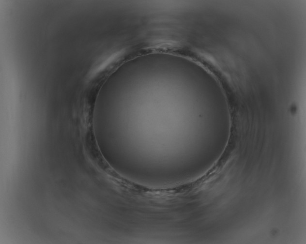 X0000094801399200711241414