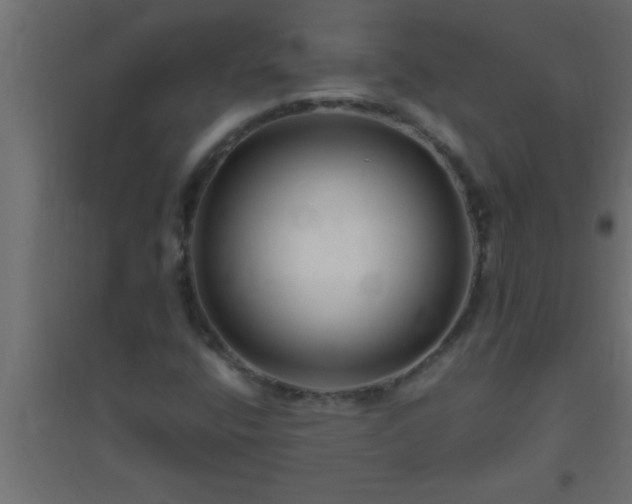 X0000094801400200711241414