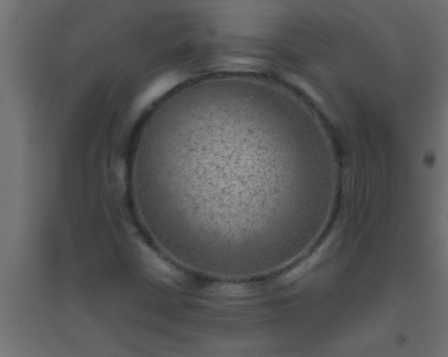 X0000094801402200711241414