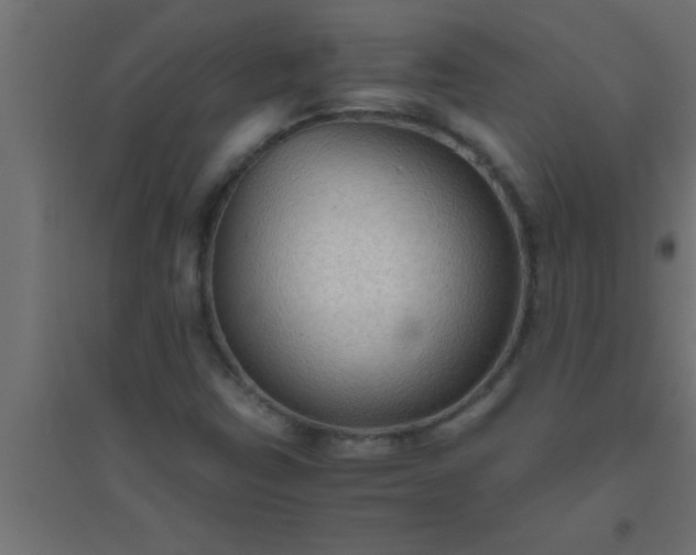 X0000094801403200711241414