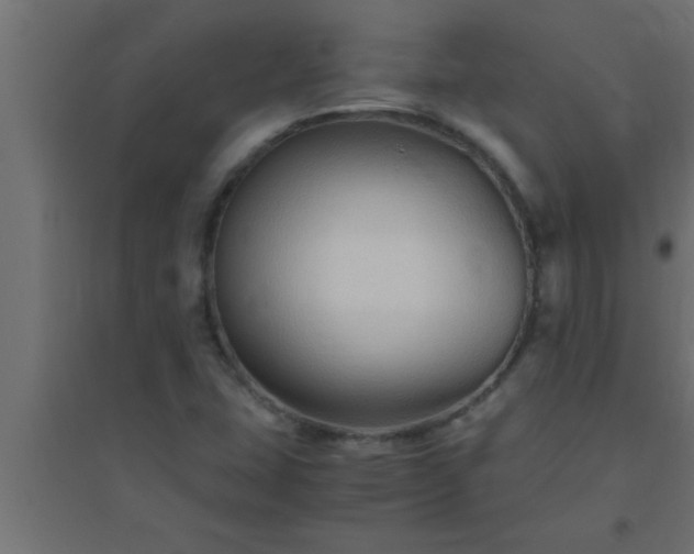 X0000094801407200711241414