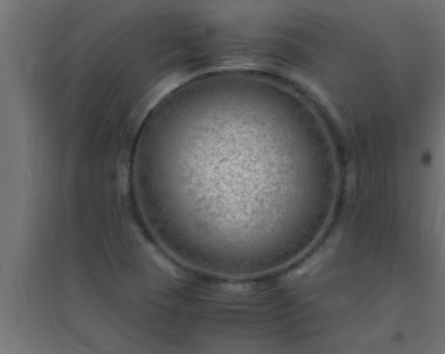X0000094801409200711241414
