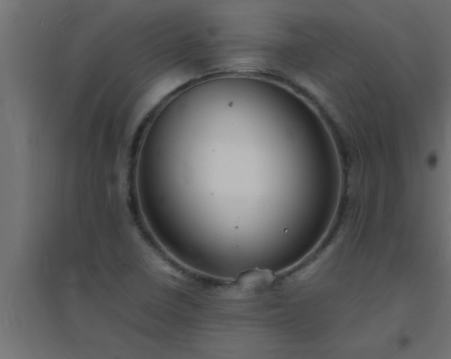 X0000094801410200711241414