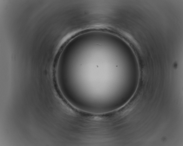 X0000094801412200711241414