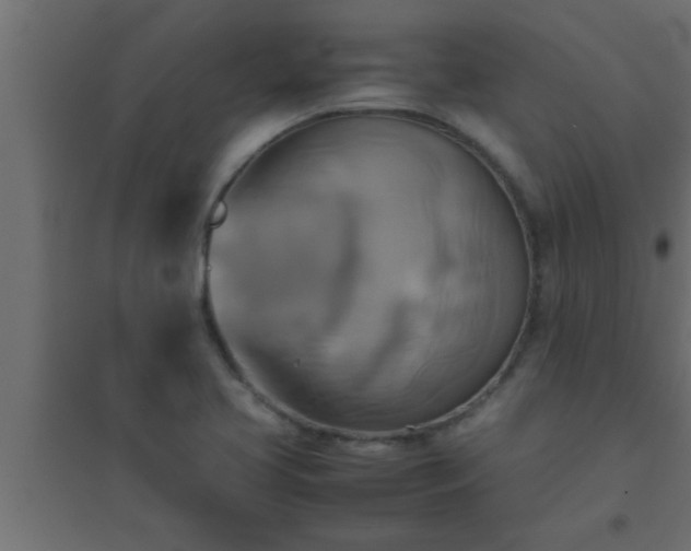 X0000094801413200711241414