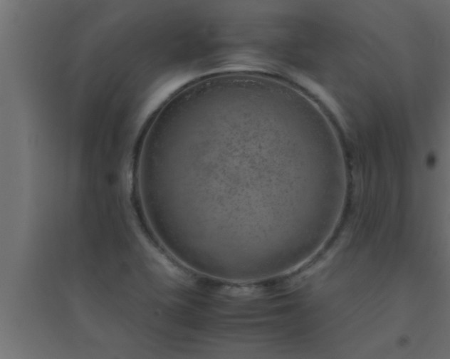 X0000094801415200711241414