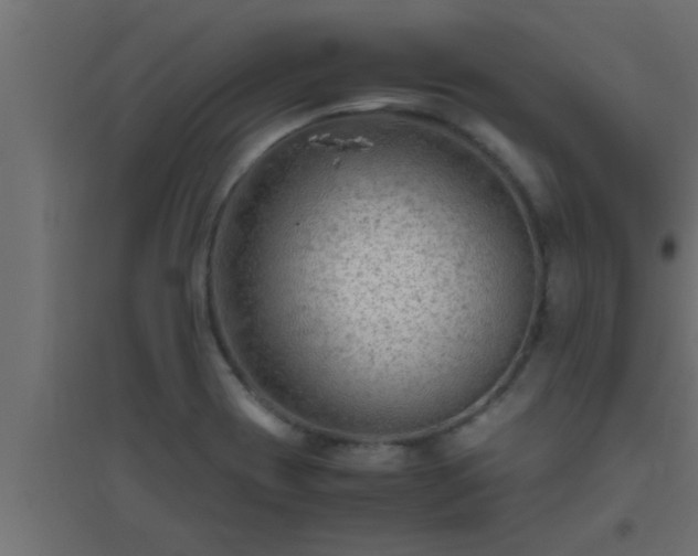 X0000094801417200711241414