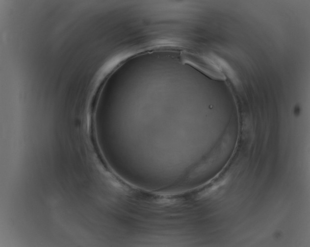 X0000094801419200711241414