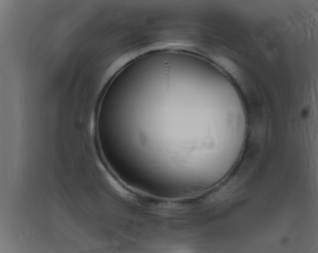 X0000094801420200711241414