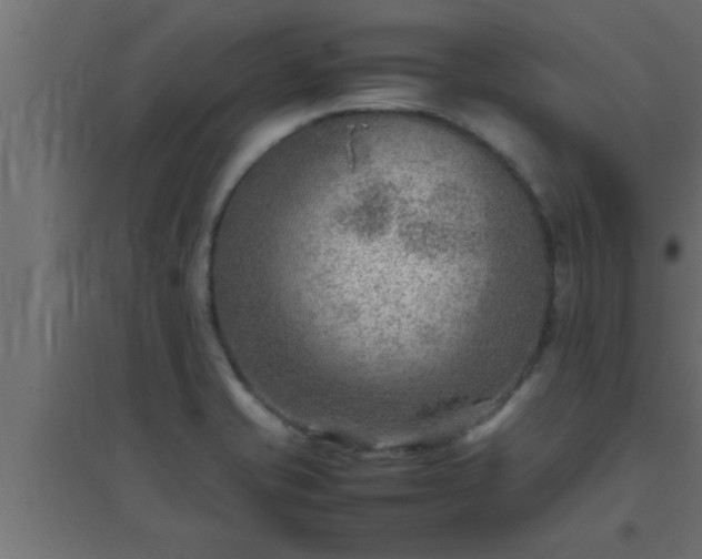 X0000094801421200711241414