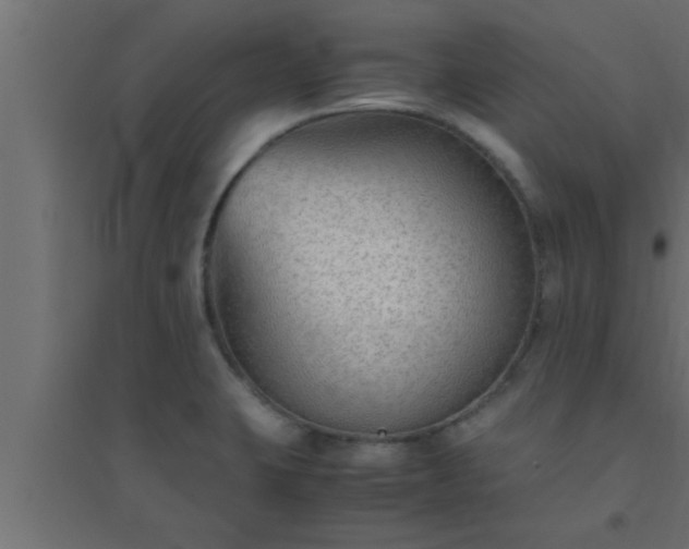 X0000094801423200711241414