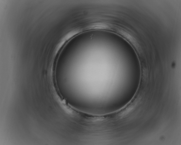 X0000094801426200711241414