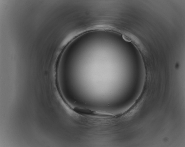 X0000094801430200711241414