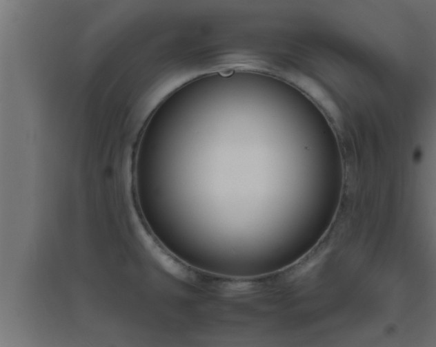 X0000094801431200711241414
