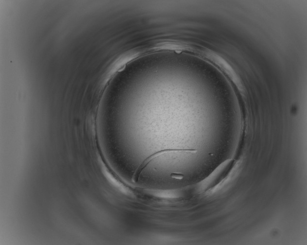 X0000094801433200711241414