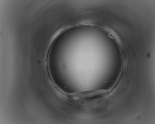 X0000094801435200711241414