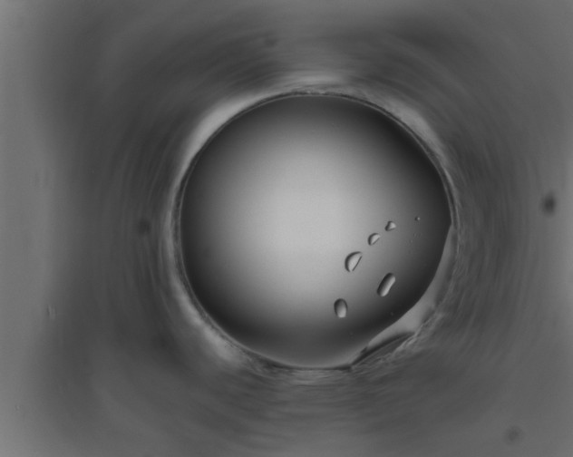 X0000094801440200711241414