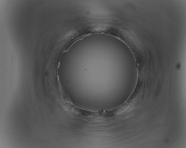 X0000094801441200711241414