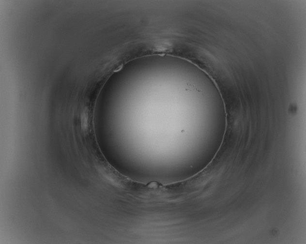 X0000094801442200711241414